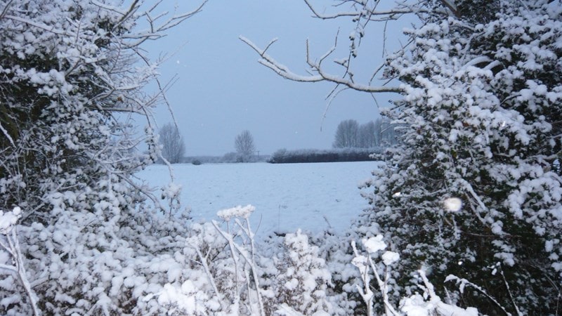 Winter east of Kelsale Village