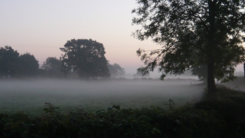 A misty hollow in the fields