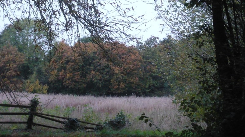 The countryside around Kelsale