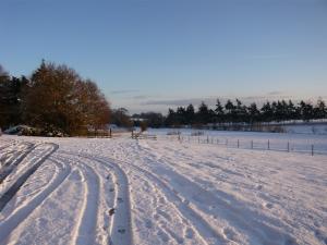 Tyre tracks in the snow at Carlton Park