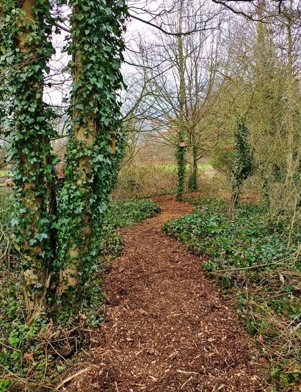 The final result, a newly woodchipped path through the trees.